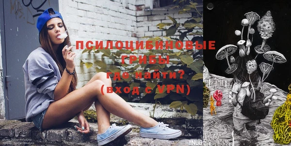 ПСИЛОЦИБИНОВЫЕ ГРИБЫ Аркадак