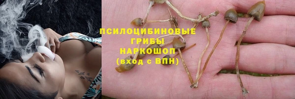 синтетический гашиш Алексеевка