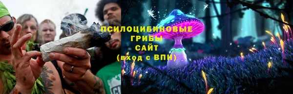 синтетический гашиш Алексеевка