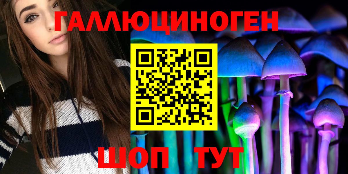 Сибай  Галлюциногенные грибы Psilocybine cubensis  Вход с VPN 